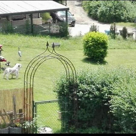Ferienwohnung - Gruene Oase シュトックアッハ エクステリア 写真