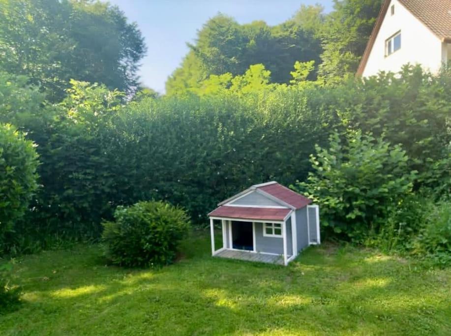 Ferienwohnung - Gruene Oase シュトックアッハ エクステリア 写真